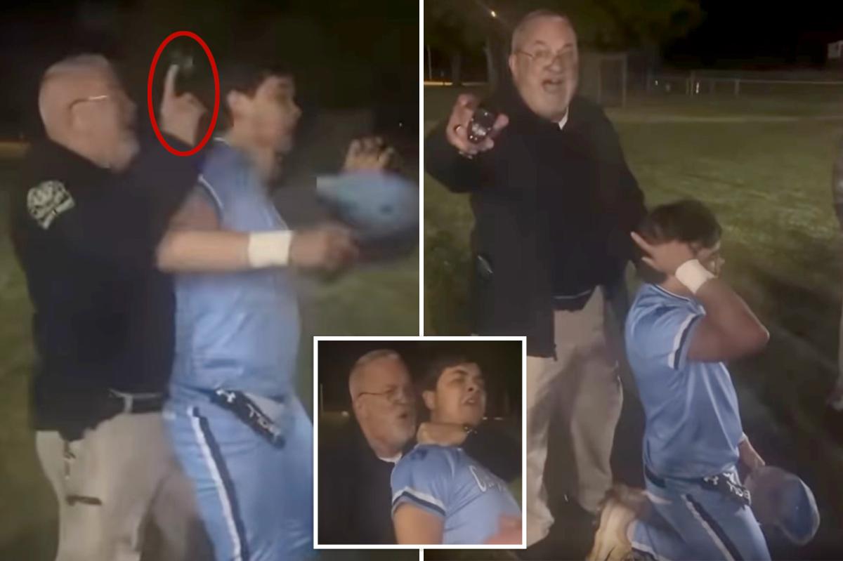 Cop bashes high school baseball player in the head with Taser as outraged crowd protests: ‘What the f–k’s wrong with you?’