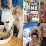 Exclusive | ‘Entitled’ dog owners are bringing their pooches to bars, Botox appointments and restaurants — and pissed-off New Yorkers have reached their breaking point: ‘What’s wrong with you?’