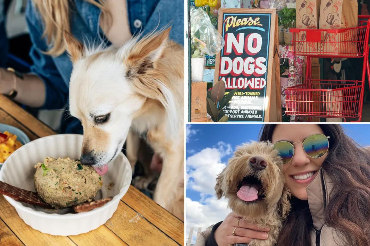 Exclusive | ‘Entitled’ dog owners are bringing their pooches to bars, Botox appointments and restaurants — and pissed-off New Yorkers have reached their breaking point: ‘What’s wrong with you?’