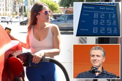 GOP senator pitches plan to slash California’s sky-high gas taxes — and save drivers more than  per gallon