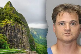 Hawaii doctor’s ex-boss says anesthesiologists have means to kill as wife testifies about syringe attack