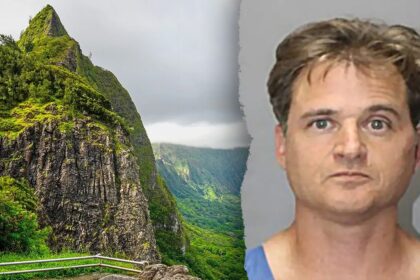 Hawaii doctor’s ex-boss says anesthesiologists have means to kill as wife testifies about syringe attack