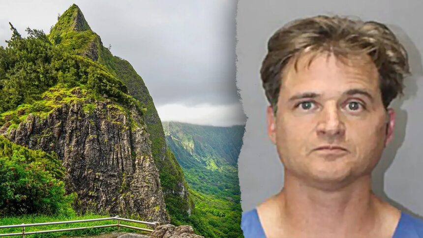 Hawaii doctor’s ex-boss says anesthesiologists have means to kill as wife testifies about syringe attack