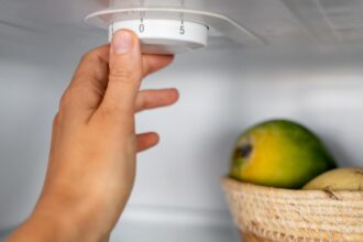 Your Fridge Might Be Too Cold. Here’s How to Find Out