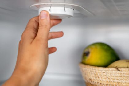 Your Fridge Might Be Too Cold. Here’s How to Find Out