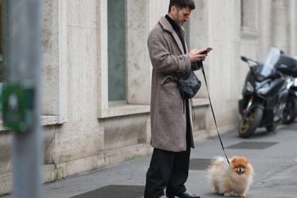 Dog Health Goes Digital With New AI Chatbot