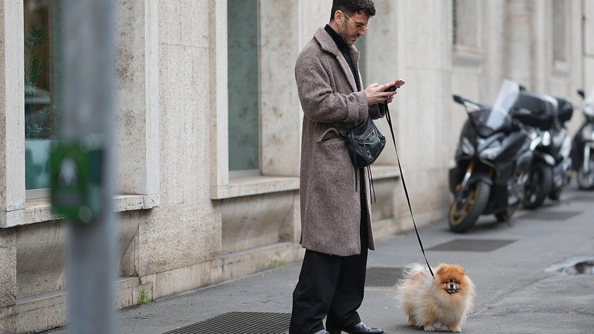 Dog Health Goes Digital With New AI Chatbot