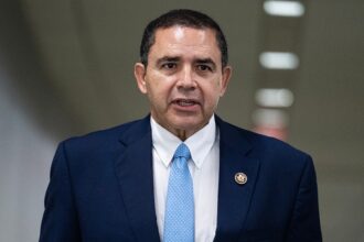 Texas border district Dem Cuellar beats back primary challengers