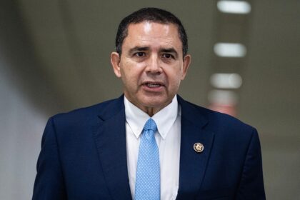 Texas border district Dem Cuellar beats back primary challengers