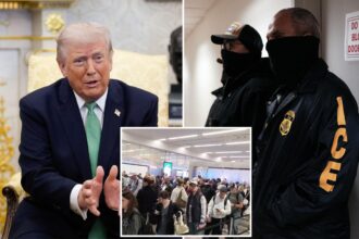 Trump deploying ICE to airports on Monday to ease crowded TSA lines — as NYC travelers face security line hell