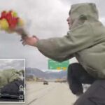 Idiotic influencer arrested over wildly viral video of him riding hood of car on highway: ‘Dumb decision’