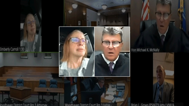 Michigan judge blasts woman for driving during Zoom court hearing: ‘Do you think I’m that stupid?’