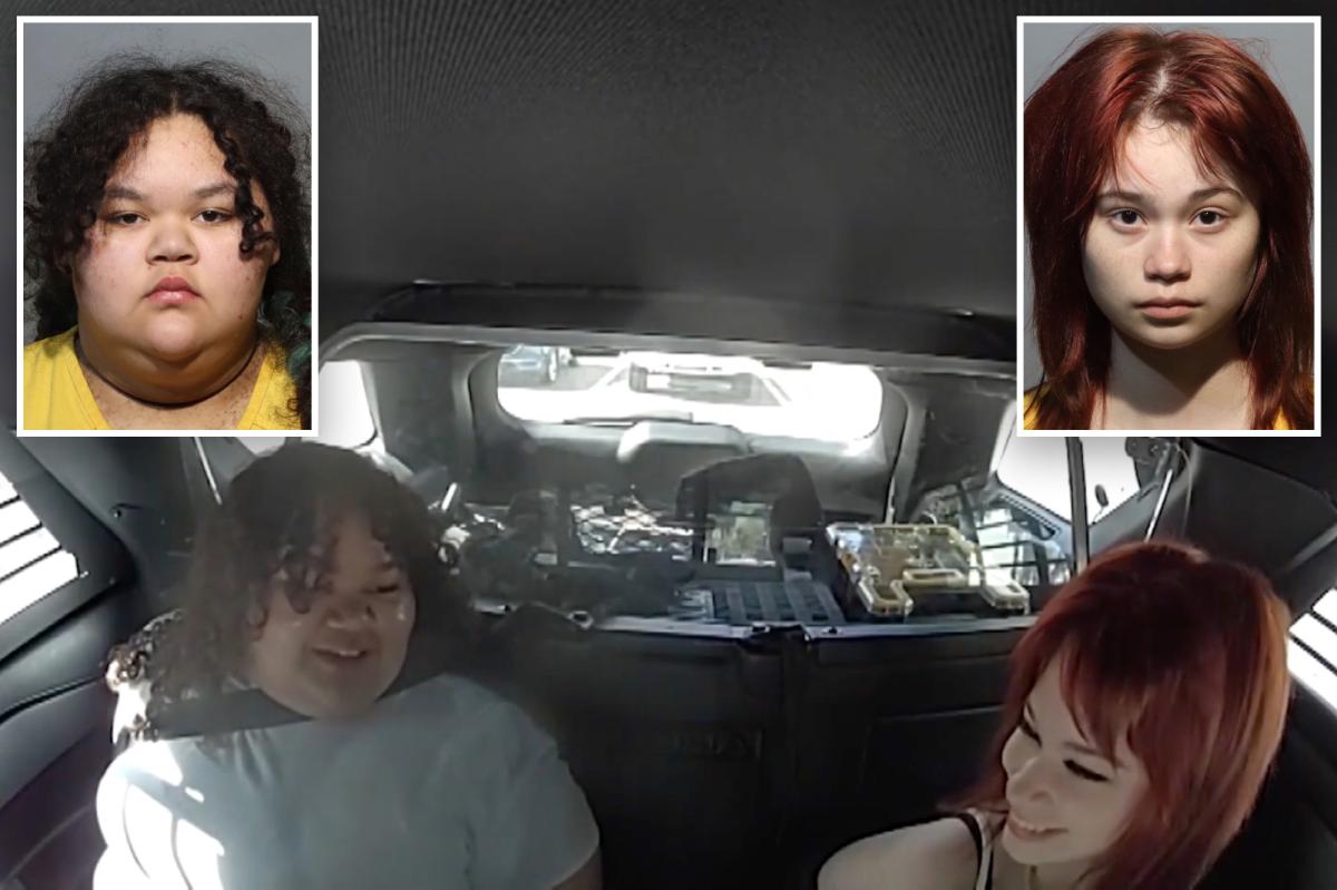 Twisted Florida teens accused of plotting school murder joked about looking good in mugshots after arrest: video