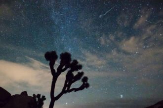 April Ignites the Night: Two Meteor Showers Are On the Way, and Here’s How to See Them