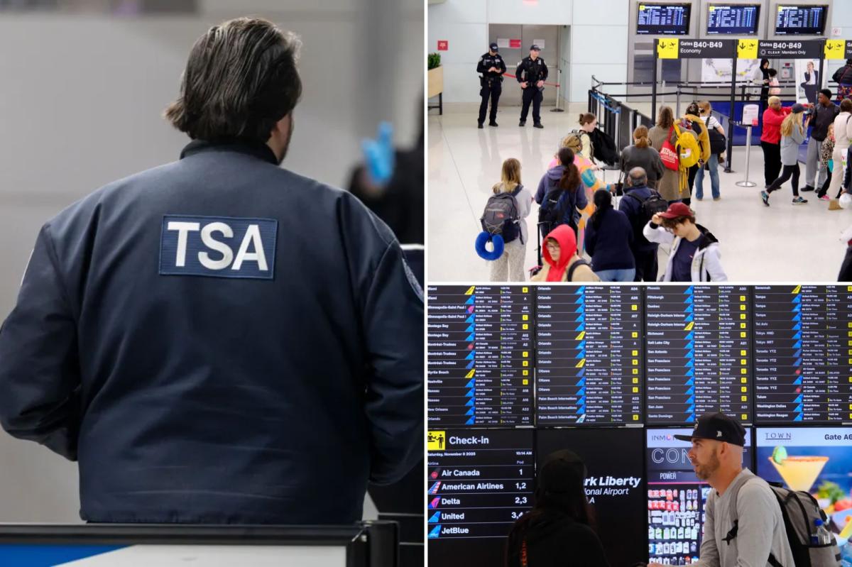 Airports could be forced to close if Dem DHS shutdown drags on, TSA official warns: ‘We’re fully stretched’