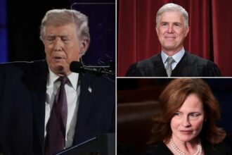 Trump seethes at two of his Supreme Court picks over tariff ruling: ‘They sicken me’