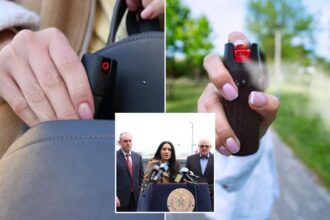 Pepper spray would be easier to get under NY bill: ‘Very simple non-lethal safety measure’