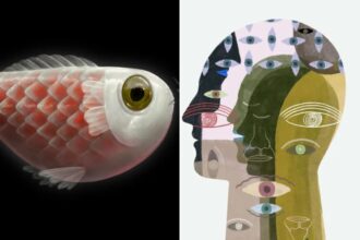 Here’s how to emotionally detox during Mercury retrograde in Pisces 2026