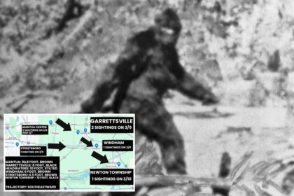 Bigfoot sightings light up the gloomiest corner of Ohio — residents report dogs are ‘shaking in fear’