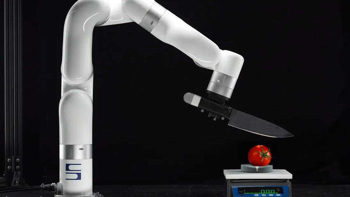 There’s an Electric Version of Nearly Every Kitchen Tool. Here’s What Chefs Think About That