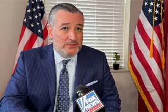 Cruz warns ‘radical Democrats’ will ‘burn it down’ if they win back Congress