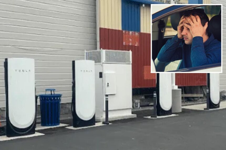 Tesla drivers caught in most disgusting acts imaginable at supercharger station