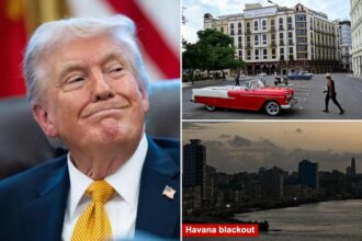 Trump believes he’ll have the ‘honor of taking Cuba’ in the future