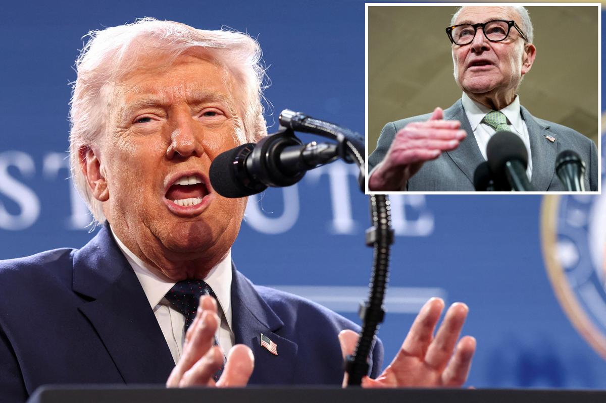 Trump says voter ID laws will save GOP in midterms — slams Schumer over opposition: ‘Registered as a Palestinian’ 
