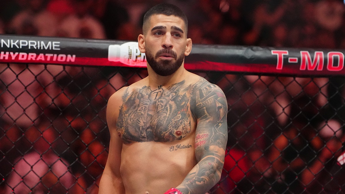 Ilia Topuria at UFC 317