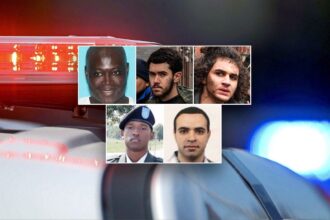 String of attacks connected to naturalized citizens raises national security questions