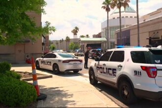 Several shoppers caught in crossfire, wounded as shooting erupts inside busy Louisiana mall: police