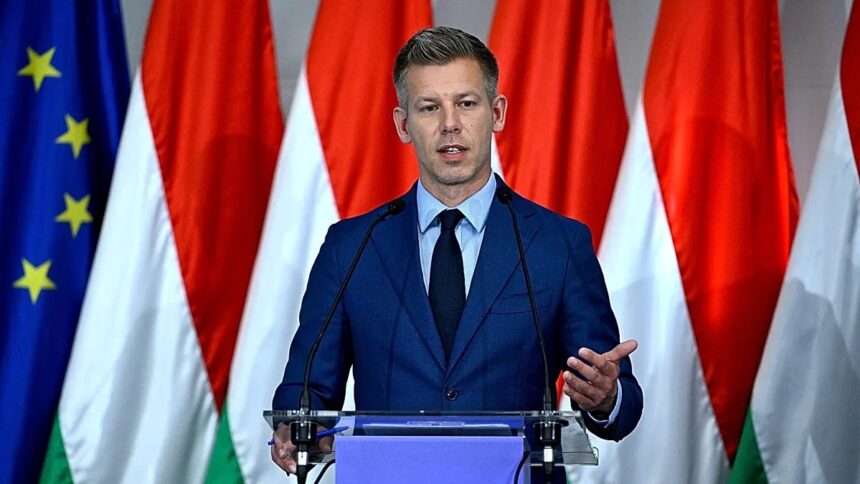 Hungary’s PM-elect Magyar offers to meet Ukraine’s Zelenskyy in June