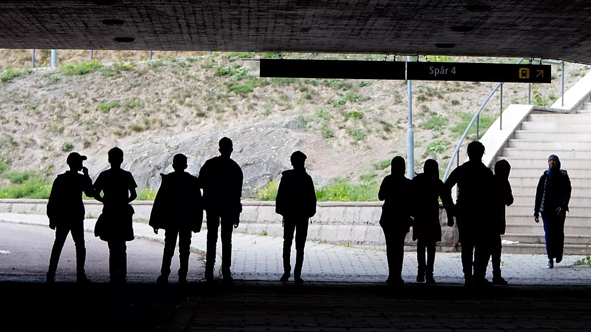 Swedish rights groups slam ‘honest living’ criteria for migrants