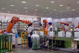 EU cracks down on Chinese goods bypassing tariffs via Belt and Road