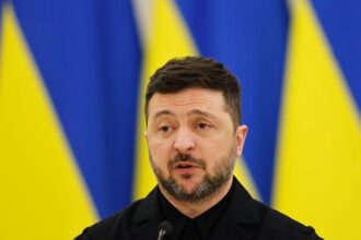 Fake footage allegedly shows Zelenskyy-Epstein friendship