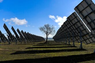 Will the Iran war threaten the EU’s green transition?