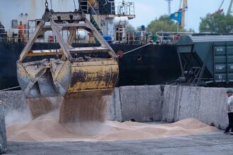 Ukraine summons Israel envoy over alleged stolen grain sent to Haifa
