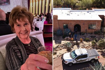 Ex-Arizona SWAT chief shuts down theory Nancy Guthrie was taken through rugged terrain at back of house