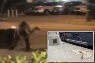 Copper crooks gut internet, kill street lights in Van Nuys heist