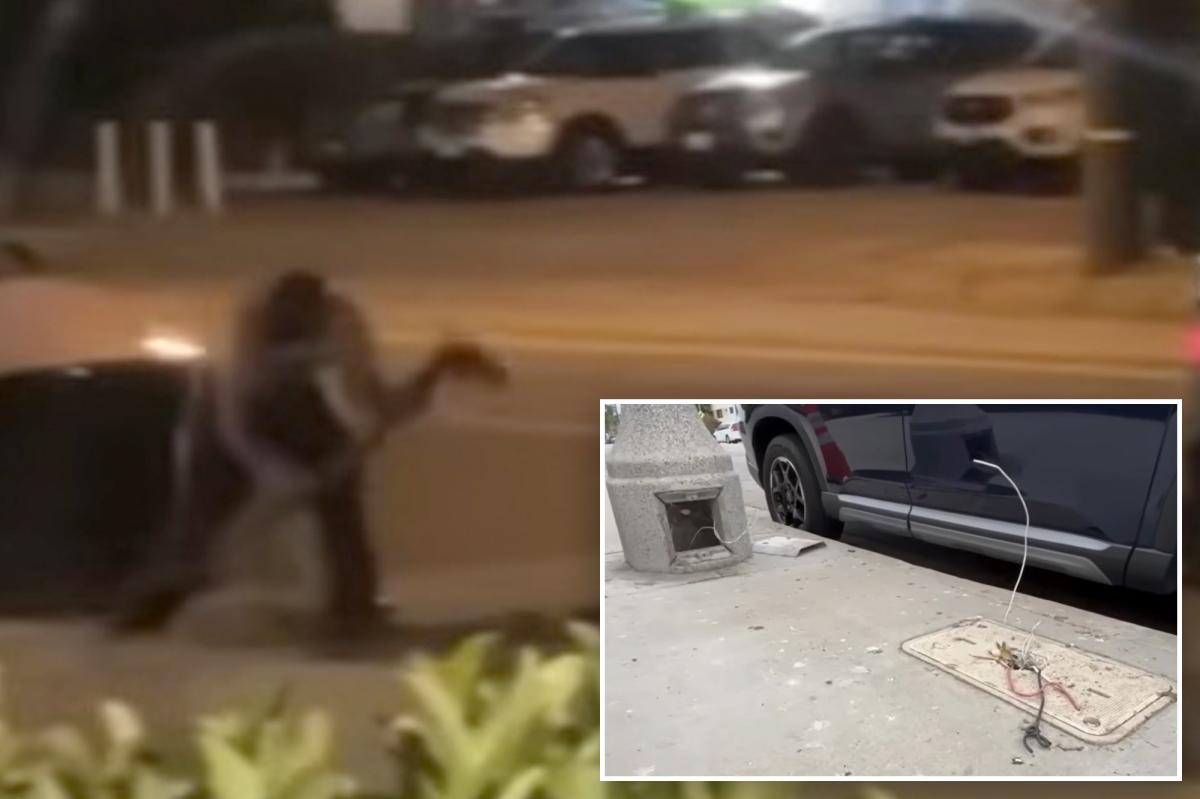 Copper crooks gut internet, kill street lights in Van Nuys heist