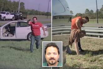 Good Samaritan viciously beaten by man he stopped to help on side of Florida highway: ‘This person tried to kill me’