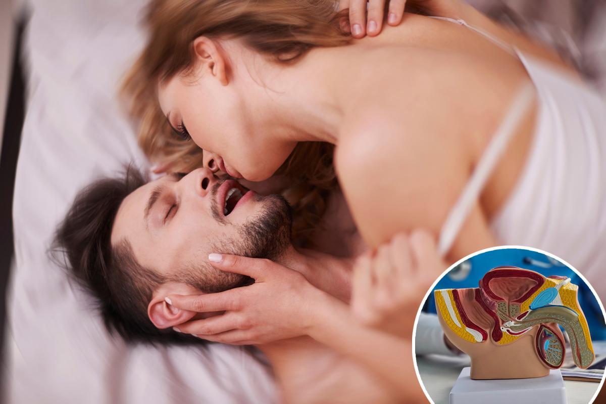 The male G-spot revealed — and everyone who guessed it’s in the rear was wrong: ‘Intensely pleasurable’