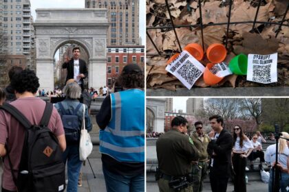 ‘Epstein Egg Hunt’ sends liberals scouring Manhattan for 0 prize — as organizer is hit with summons
