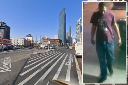 Maniac breaks senior citizen’s jaw after chasing him near Barclays Center: sources