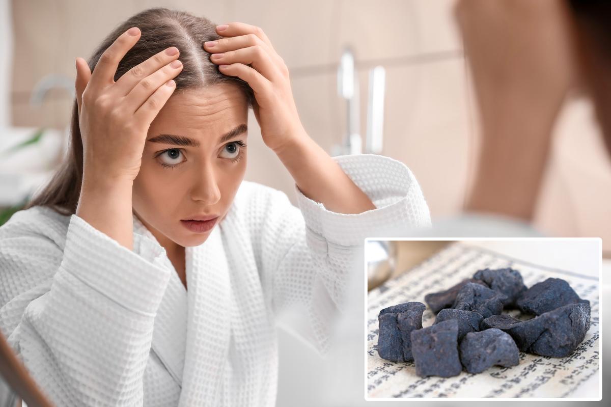 Ancient Chinese ‘hair blackening’ herb may fight balding naturally