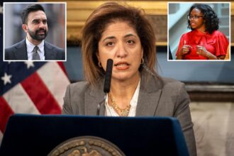 Mamdani corruption watchdog pick grilled for donating, volunteering for his mayoral campaign