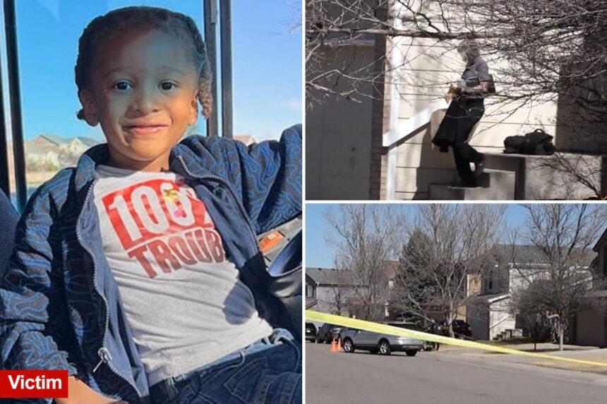 Chilling likely reason 11-year-old boy was charged with first-degree murder in 5-year-old brother’s death