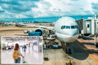 Flight passengers slam airlines for pushing early bag checks even with empty bins on board