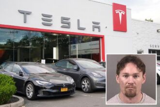 Naked shotgun-wielding Yale alum rampages through Bay Area Tesla shop