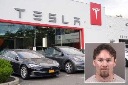 Naked shotgun-wielding Yale alum rampages through Bay Area Tesla shop